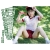 「ロリエロ宣言!!　すけすけブルマin南国　春野愛子写真集」