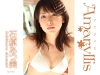 石原あつ美「Amaryllis　石原あつ美」
